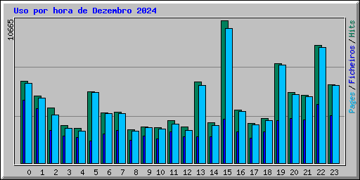 Uso por hora de Dezembro 2024
